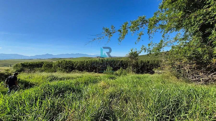 TERRENO PARA FORMAR CHÁCARA EM CANAS-SP - Foto 4