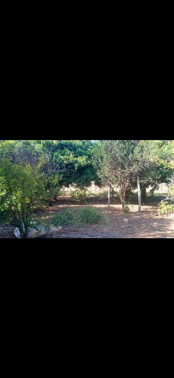 Chacara - Foto 2