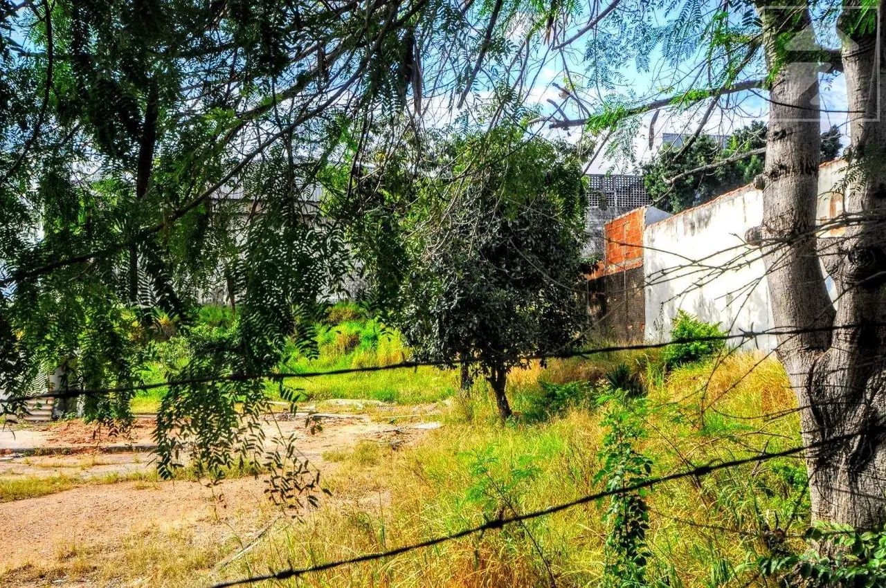 Terreno para aluguel em Cidade Satélite Íris, Campinas - SP | Cód 24676 - Foto 4