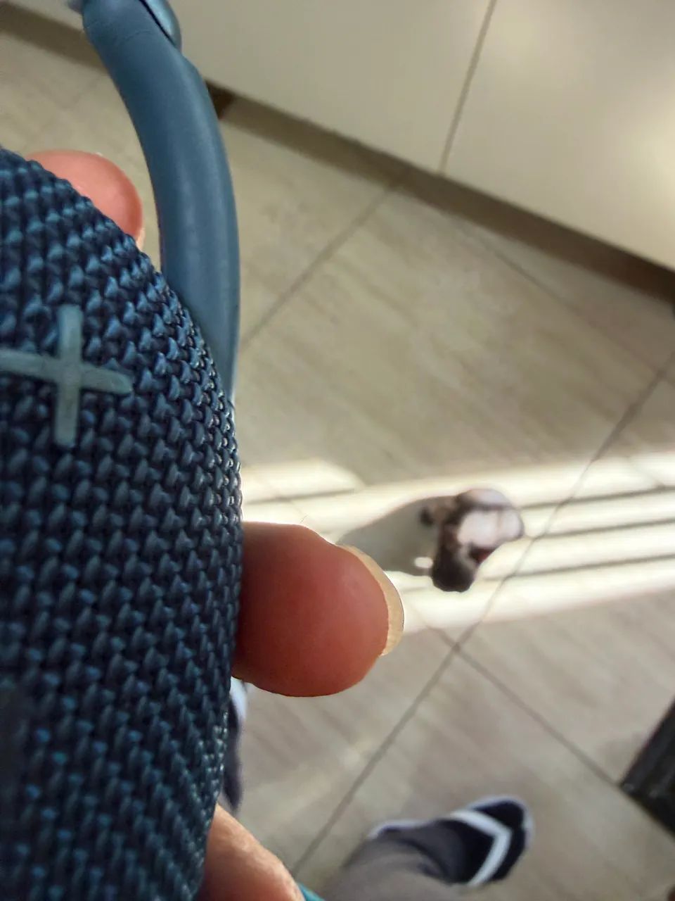 Caixinha JBL FLIP4