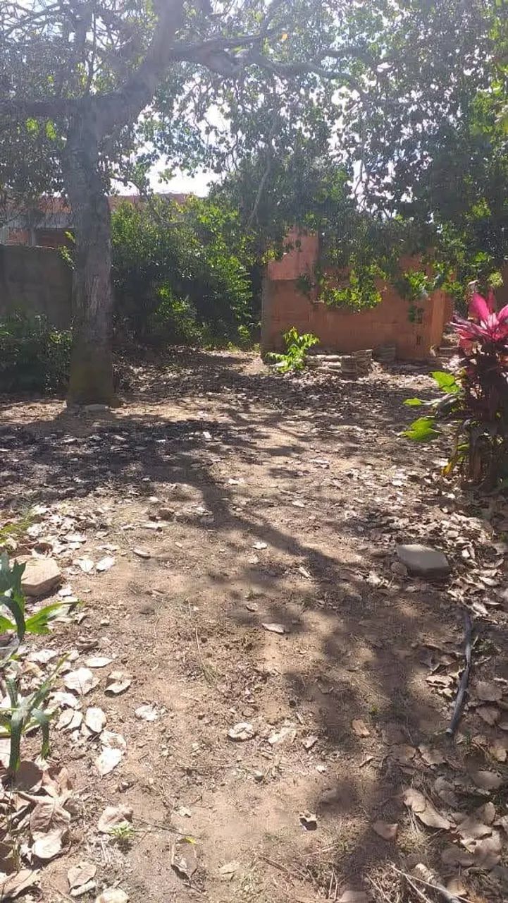 Foto - Campos dos Goytacazes - Parque São Silvestre