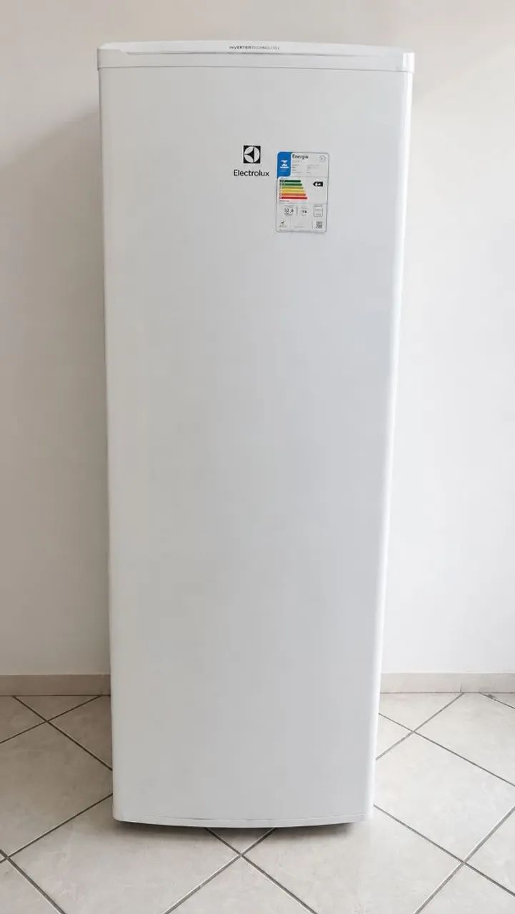 Freezer inverter 