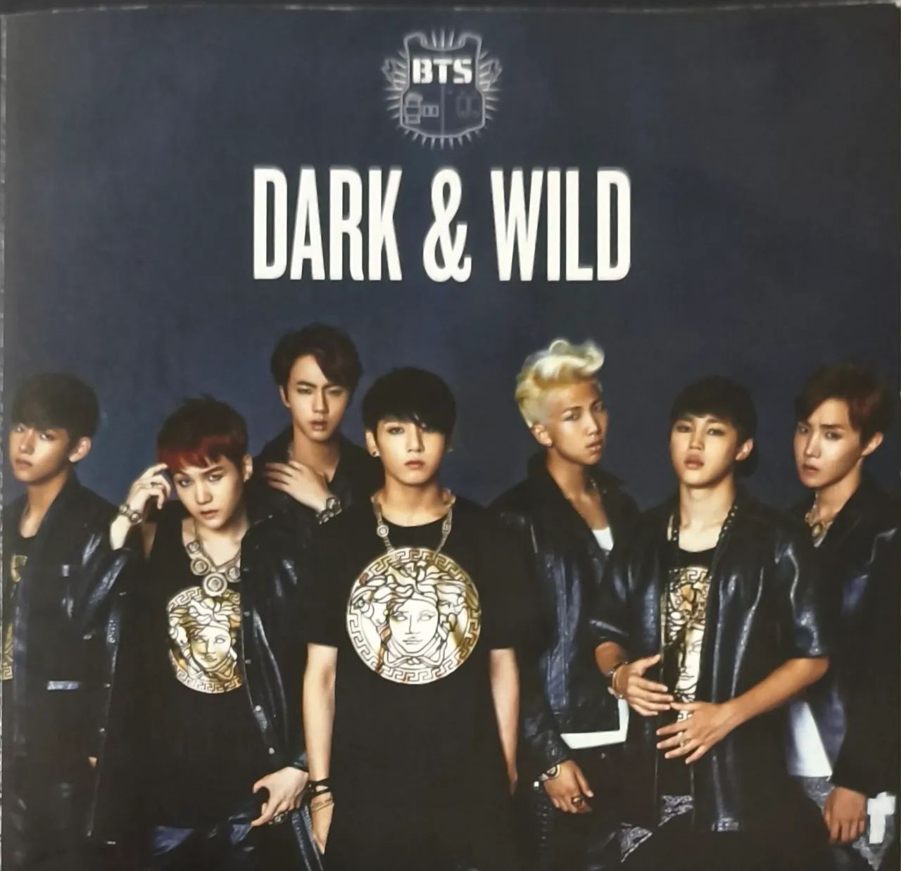 Álbum BTS Dark & Wild Original - Sem Photocard <br><br>Photocard