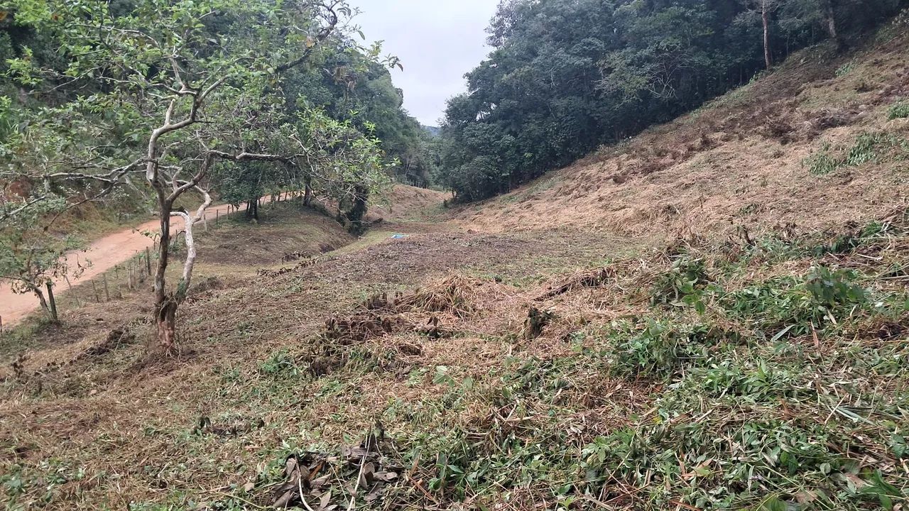 Vendo sitio  em 7 barras sp  barato  - Foto 5