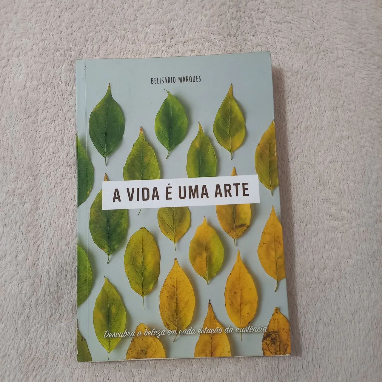 A Vida é uma Arte ( novo)