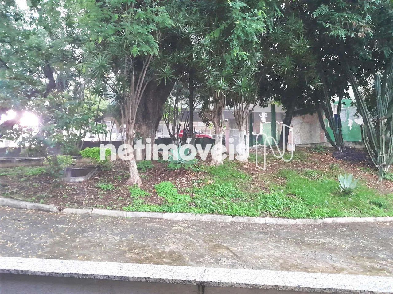 Venda Prédio Barroca Belo Horizonte - Foto 4