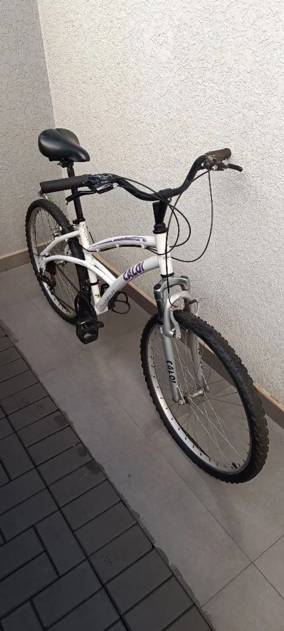 Bicicleta Caloi 100 
