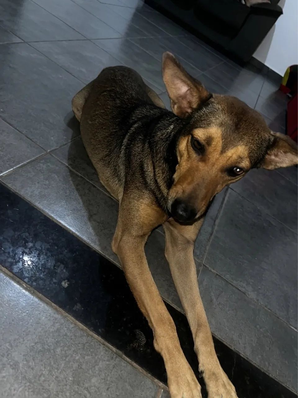 Doação - Foto 4