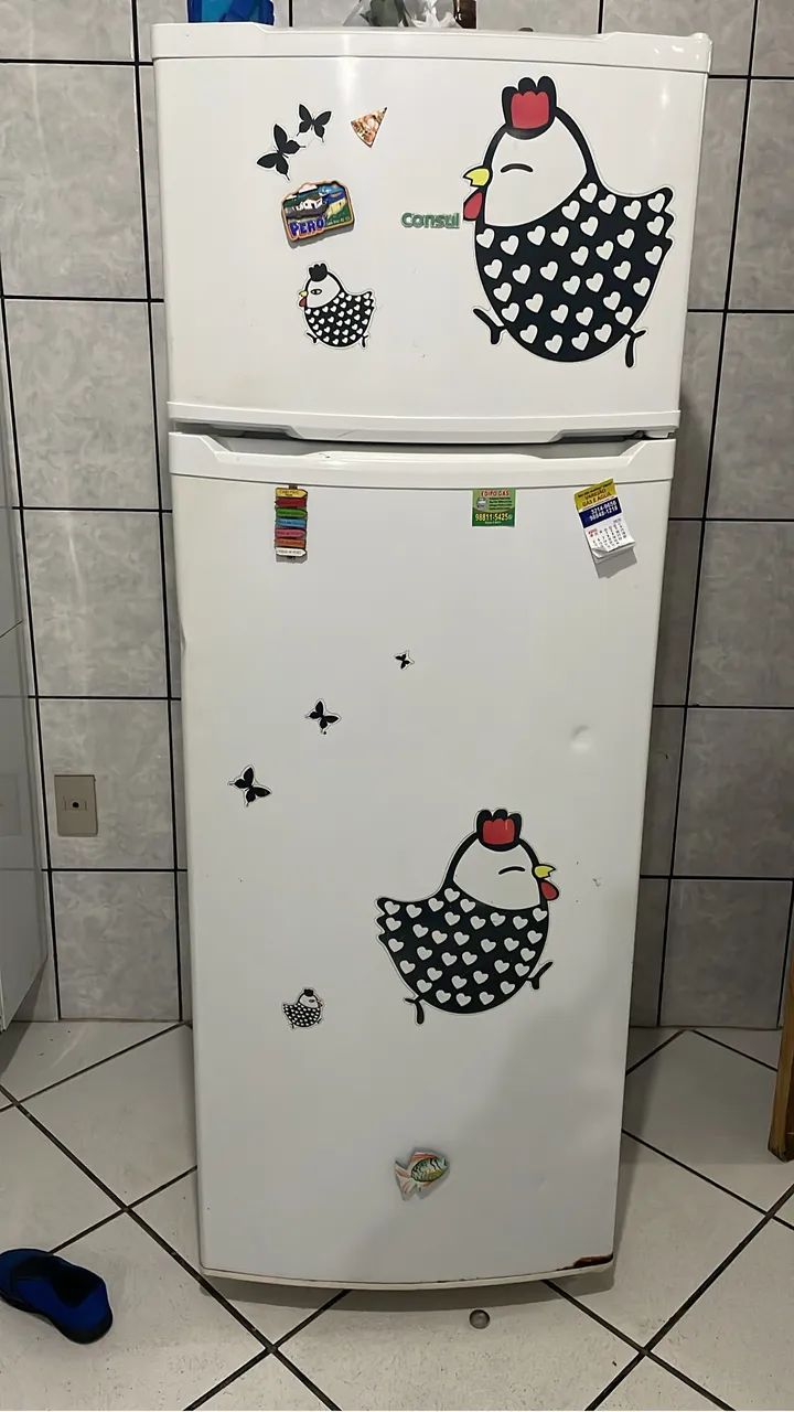 Geladeira duplex