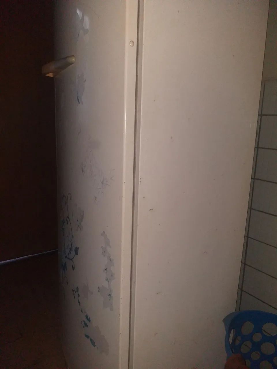 Geladeira branca Consul 250$