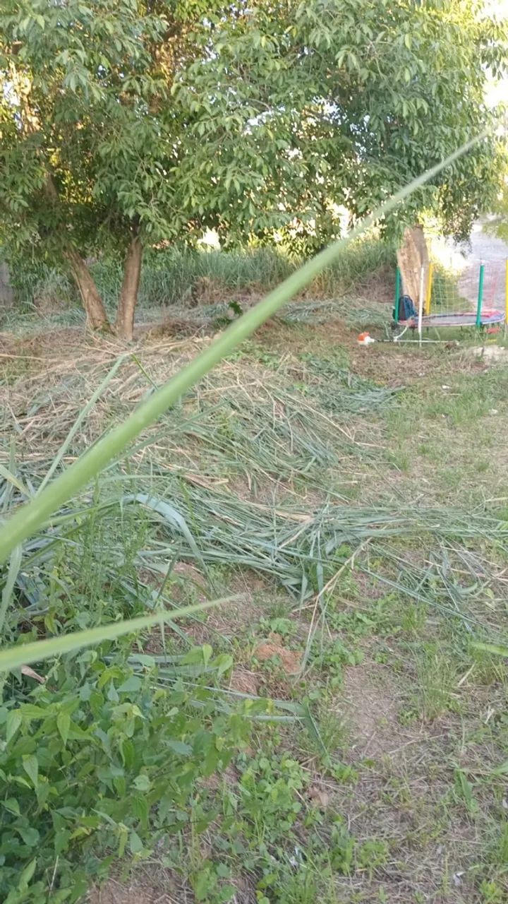 Santíssimo - Terreno com RGI | Aceita Carta e FGTS - Foto 5