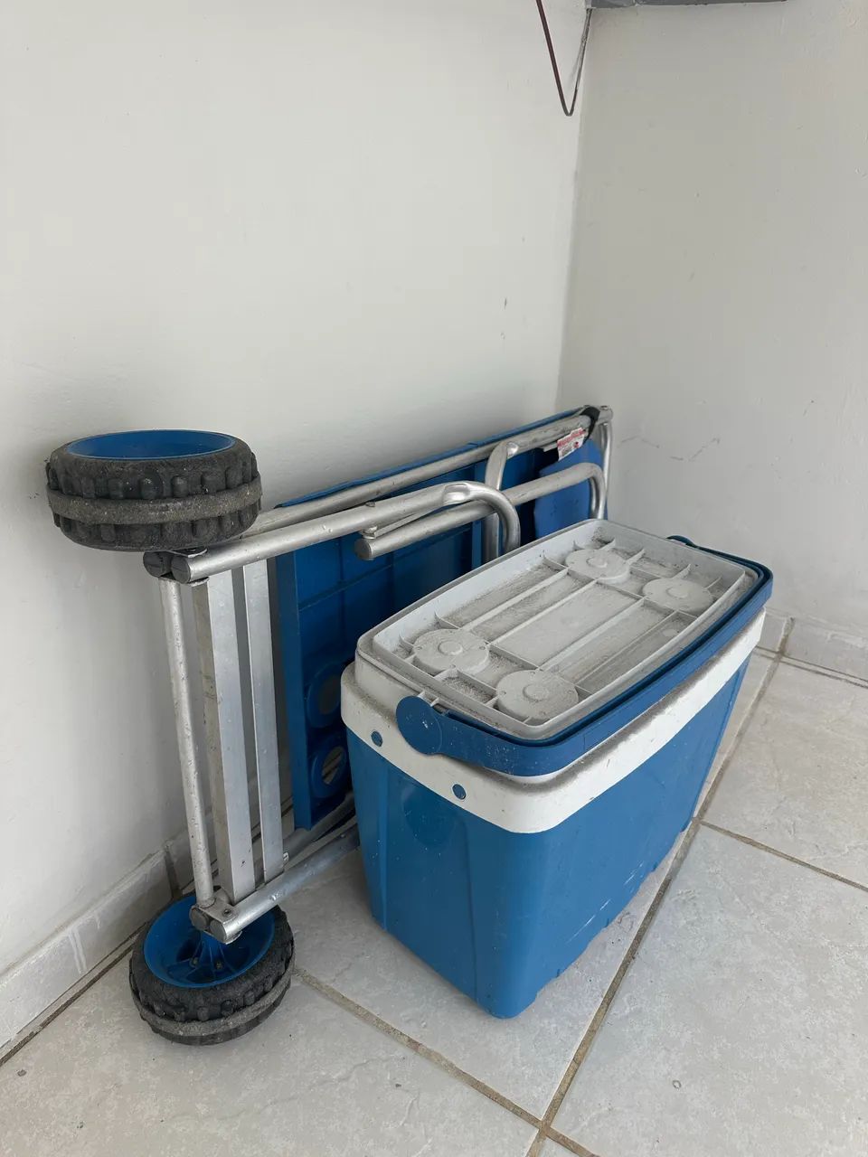 Vendo Caixa térmica e carrinho