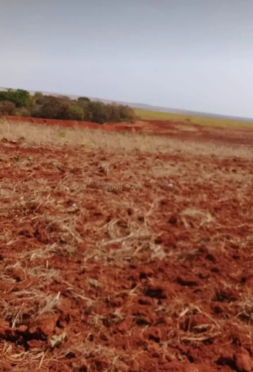 FAZENDA À VENDA  ITIQUIRA/MT DUPLA APTIDÃO - Foto 4