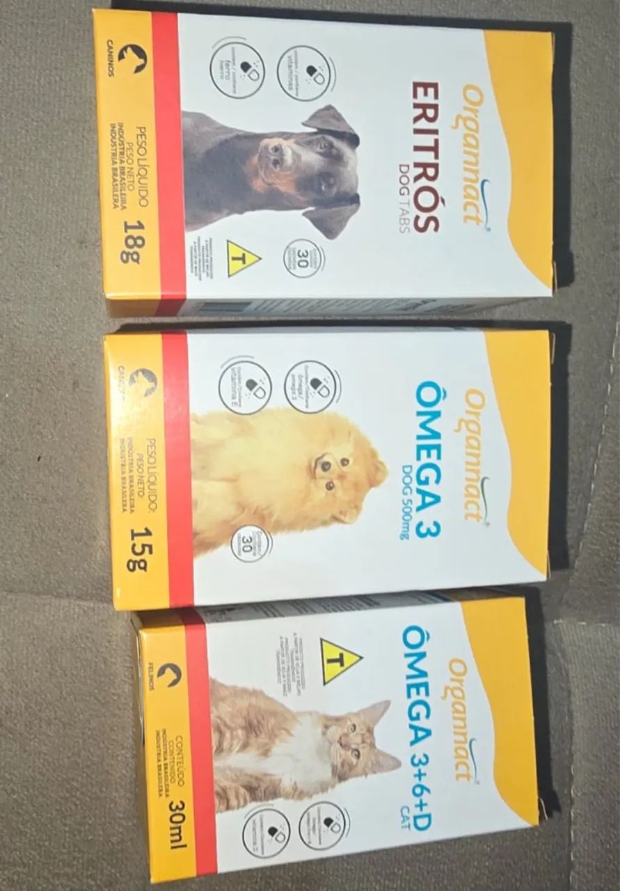 Cachorro - Foto 4