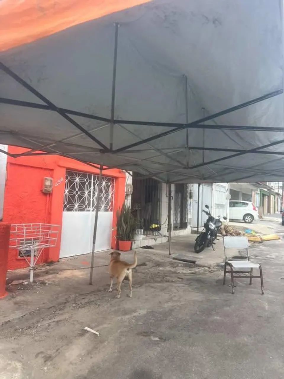 Tenda sanfonada  3x6 metros quadrados  - Foto 2