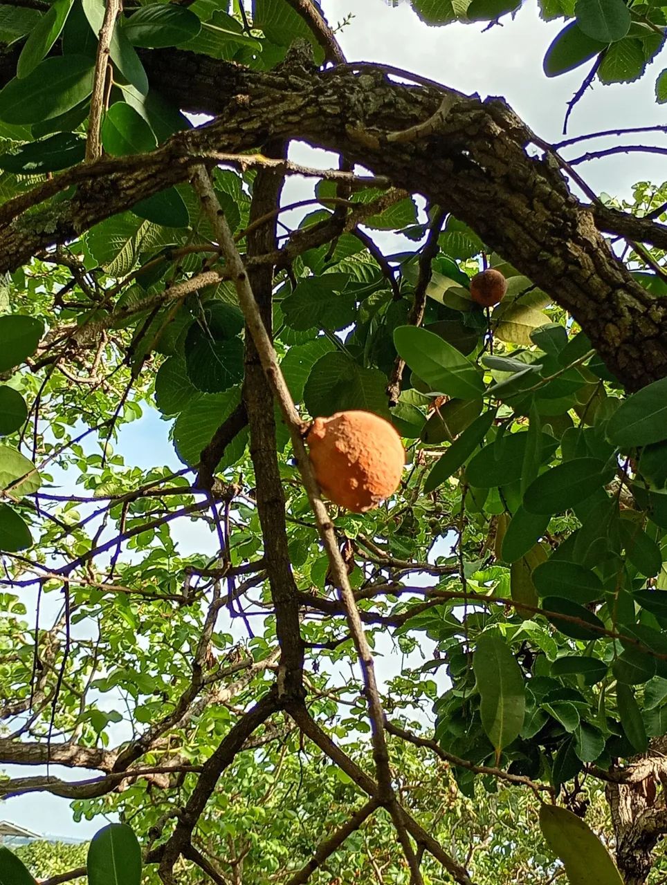 Chácara quedas do descoberto 
