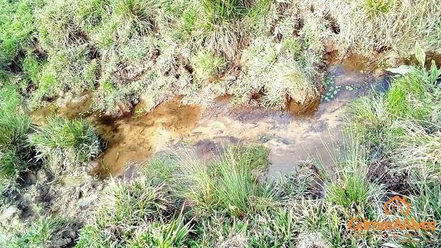 Fazenda para Venda, São Bento do Sul / SC, bairro Sertãozinho - Foto 14