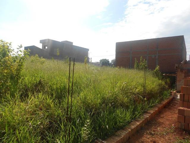 Terreno muito bem localizado no Parque dos Girassóis em Cosmópolis-SP. (TE0063) - Foto 2