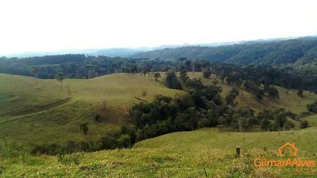 Fazenda para Venda, São Bento do Sul / SC, bairro Sertãozinho - Foto 5