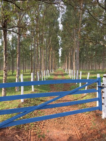 Fazenda em Frutal Minas Gerais Triângulo Mineiro - Foto 18