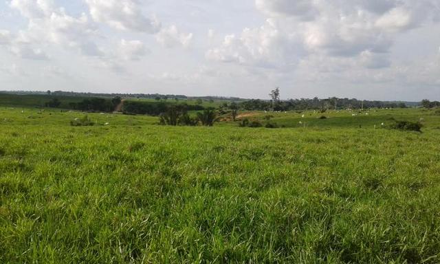 Fazenda 388 alqueires top #ref082 - Foto 5