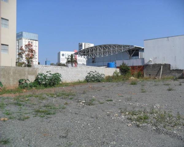 Terreno para alugar com 0 dormitórios em Cambuí, Campinas cod:TE050177 - Foto 8