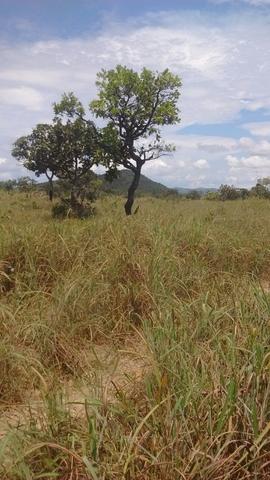 Oportunidades venda de fazenda de 14 alq em Uruaçu GO - Foto 7