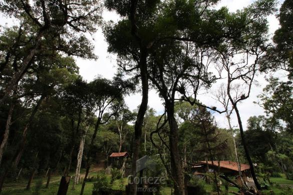 Terreno rural com 4.000 m² no Borda do Campo - Foto 9