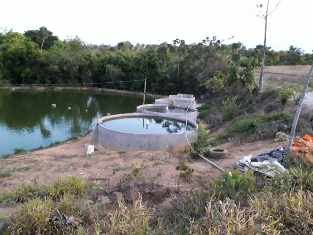 Fazenda à venda ou troca R$ 12 mil o Hectare- Zona Rural - Luziânia/GO