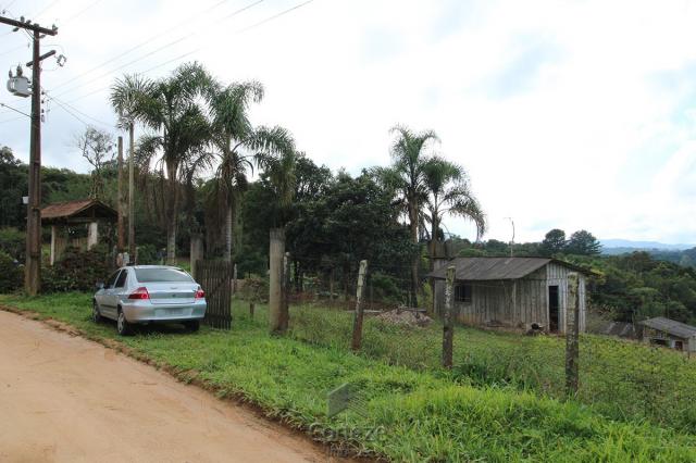 Chácara à venda na Colônia Murici - Foto 4