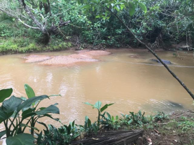Alugo Chácara em Taquaruçu, Palmas - Tocantins - Foto 13