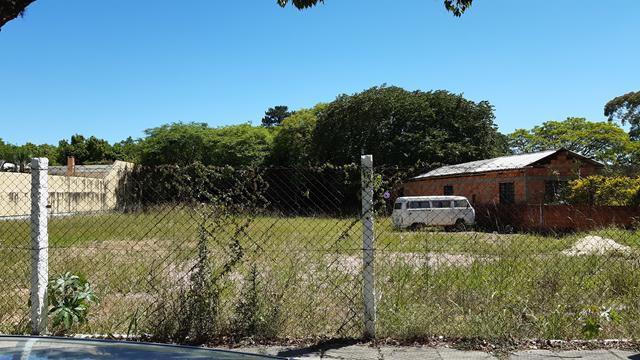 Terreno para alugar em , cod:I-023745 - Foto 5