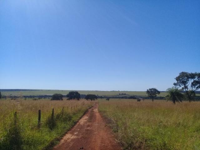 Fazenda para venda em Formosa-GO - Foto 11