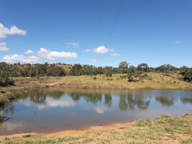 Fazenda à venda ou troca R$ 12 mil o Hectare- Zona Rural - Luziânia/GO - Foto 11