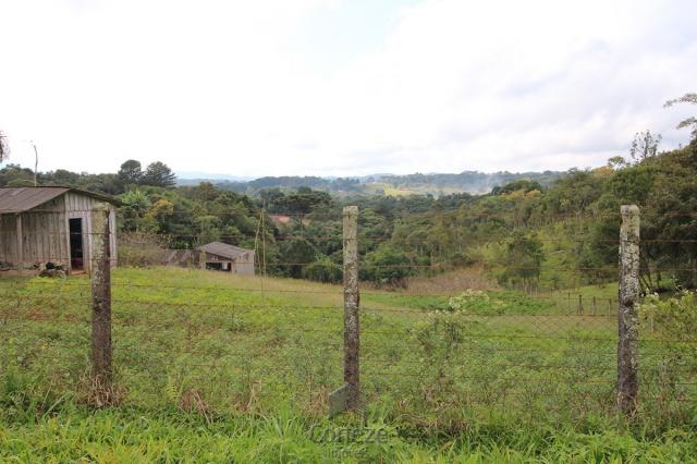 Chácara à venda na Colônia Murici - Foto 3