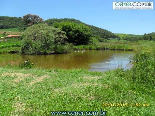 1620/Extraordinária fazenda de 220 ha com 2.000 l/leite dia de porteira fechada - oport - Foto 19