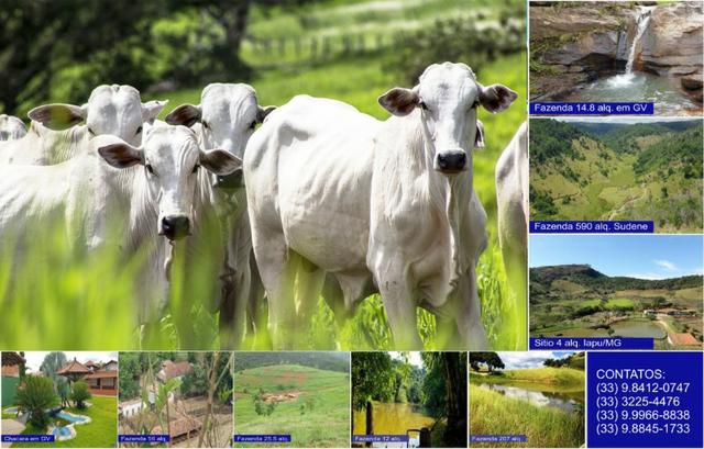Adquira Já Seu Imovel Rural