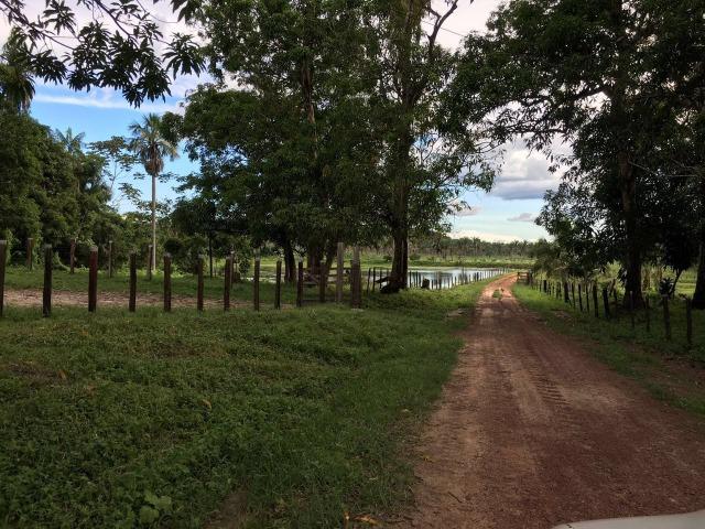 Bela fazenda com 450 hectares, super estruturada em Itapecuru -Mirim! - Foto 9