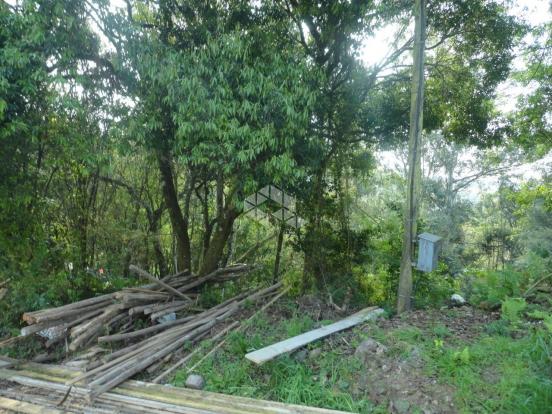 Terreno à venda em Santo antão, Bento gonçalves cod:9908551 - Foto 2