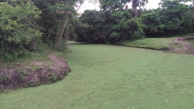 Excelente Fazenda em Feira de Santana-BA - Foto 12