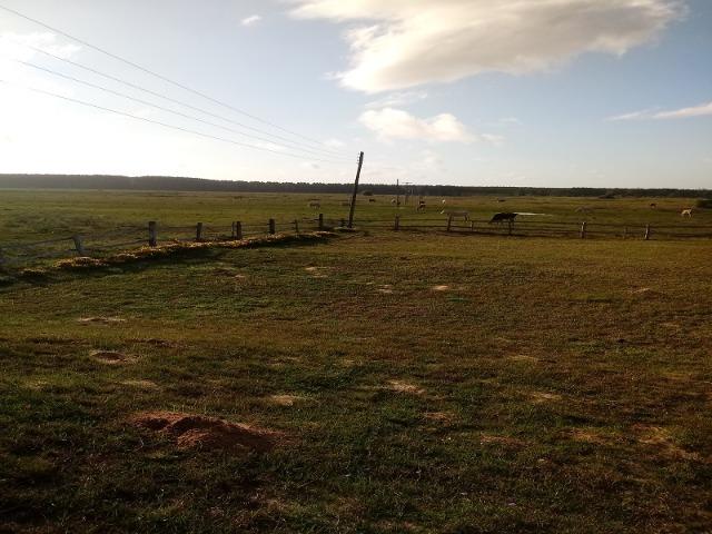 Bela Fazenda - Foto 16