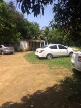 Granja-Chácara-Sítio 1,6 Hectares em Olinda, Aceito Automóvel ou imóvel - Foto 13