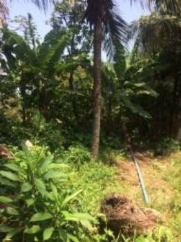 Granja-Chácara-Sítio 1,6 Hectares em Olinda, Aceito Automóvel ou imóvel - Foto 18