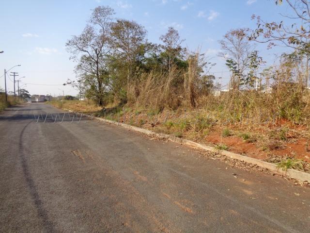 Lote Recanto dos Buritis - Foto 5