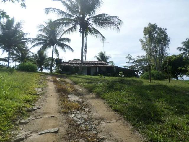 Fazenda no Litoral SUL da Bahia - Foto 7