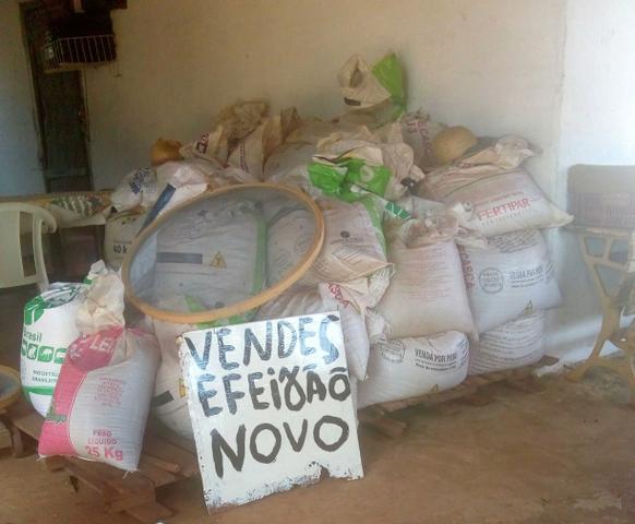 Vendo feijões novos