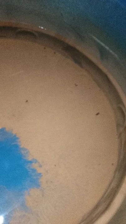LIMPEZA E HIGIENIZAÇÃO DE CAIXAS D'ÁGUA E CISTERNAS. - Foto 5