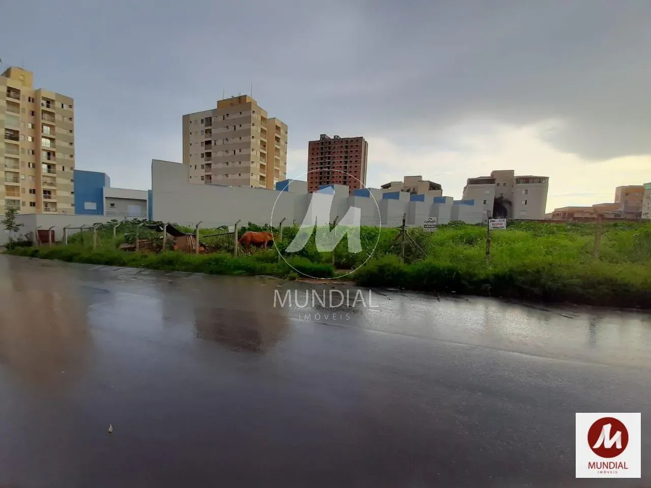 Terreno (terreno normal) - Foto 3