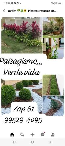 Paisagismo.. jardim, dedetização... - Foto 2
