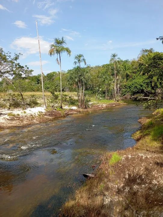 foto - Boa Vista - Caranã